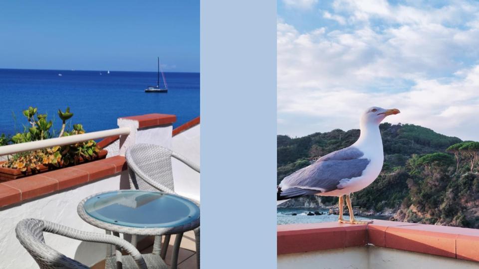 Hotel Scoglio Bianco Portoferraio Exteriör bild